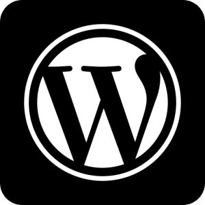 Wordpress ekspert